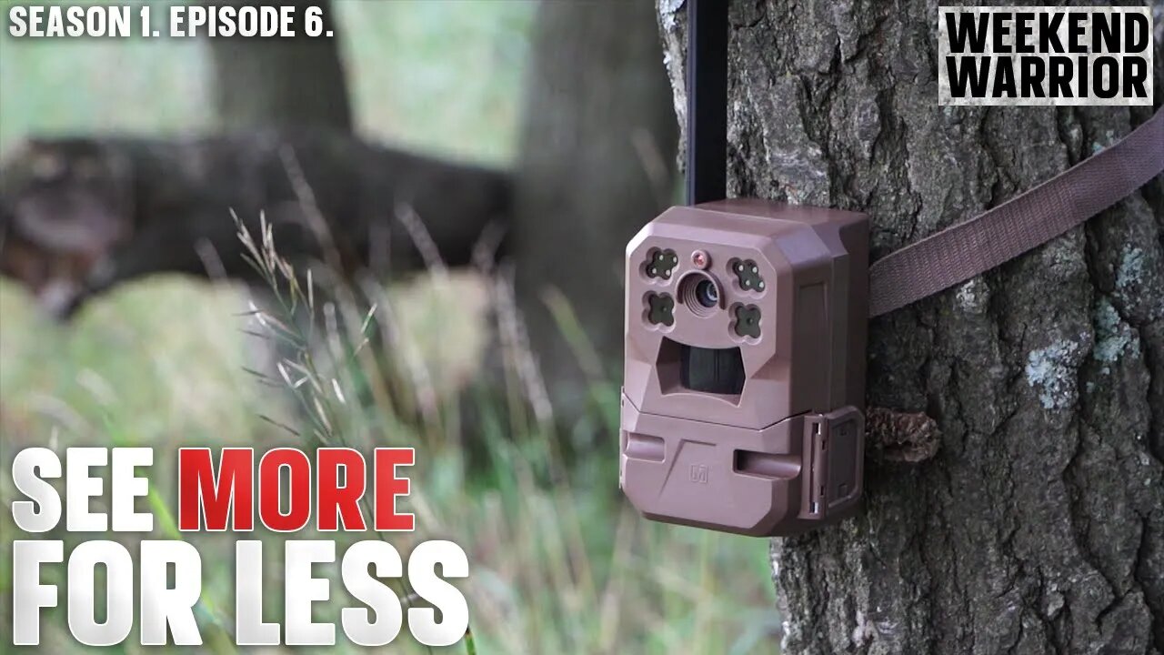 New Cellular Trail Camera That’s Affordable and Insanely User-Friendly