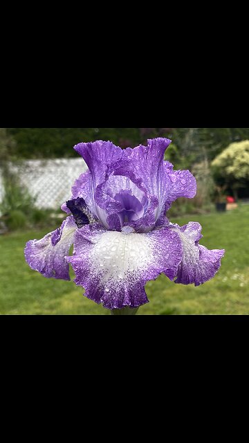 Spring time/summer/ weather #short #viral