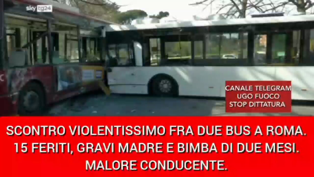 Italian buses