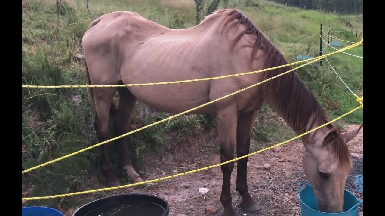 Sneaking Arthur a little supper while the girls aren't around. He stayed around when they moved