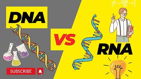 The difference between DNA & RNA