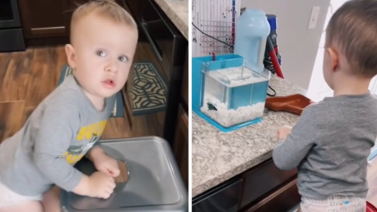 Kid Removes Fish From Aquarium So It Can Take A Nap