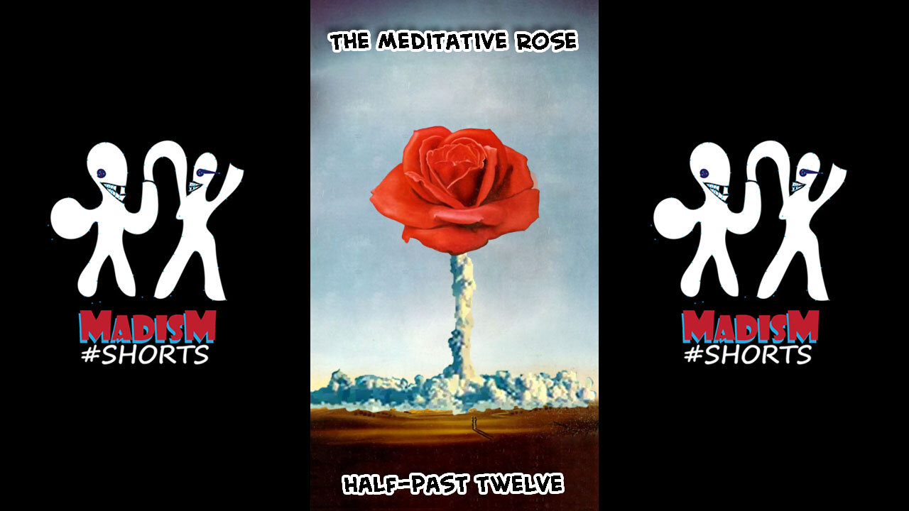 The Meditative Rose - Half-past twelve