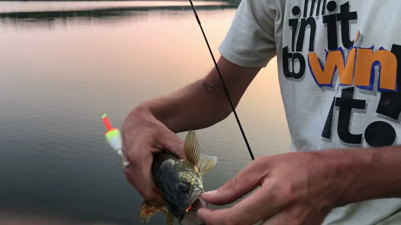 GIVE THE KID THE CAMERA TO VIDEO YOUR WALLEYE CATCH and this is what you get.