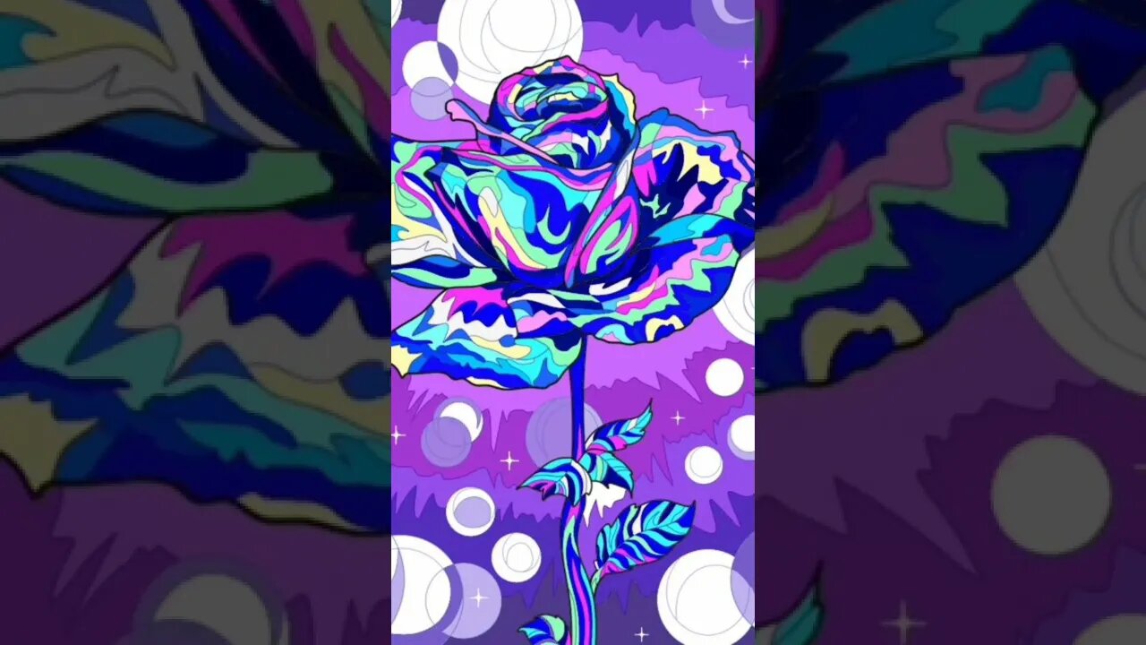 Here is a rose