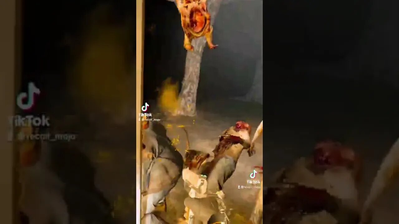 Half Life Alyx mods that got more profile views on TikTok Gaming Edit Compilation Mashup Clips PC