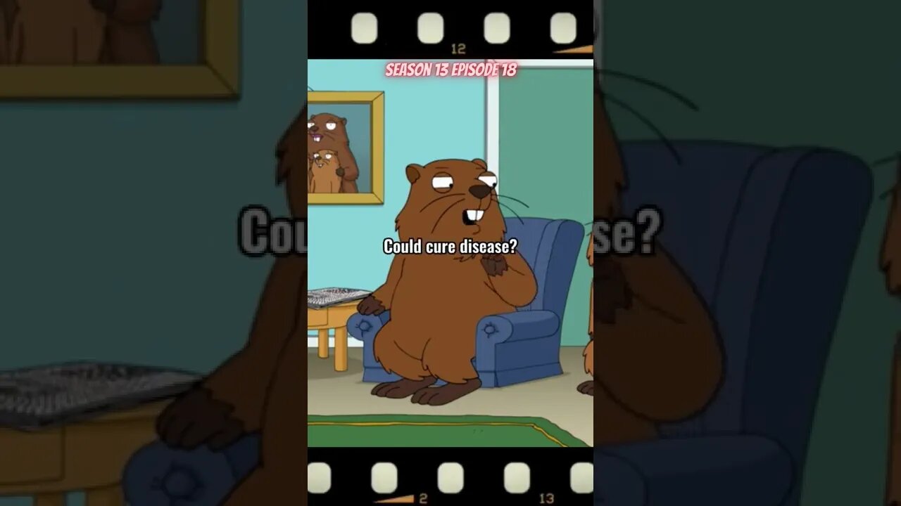 family guy #Shorts