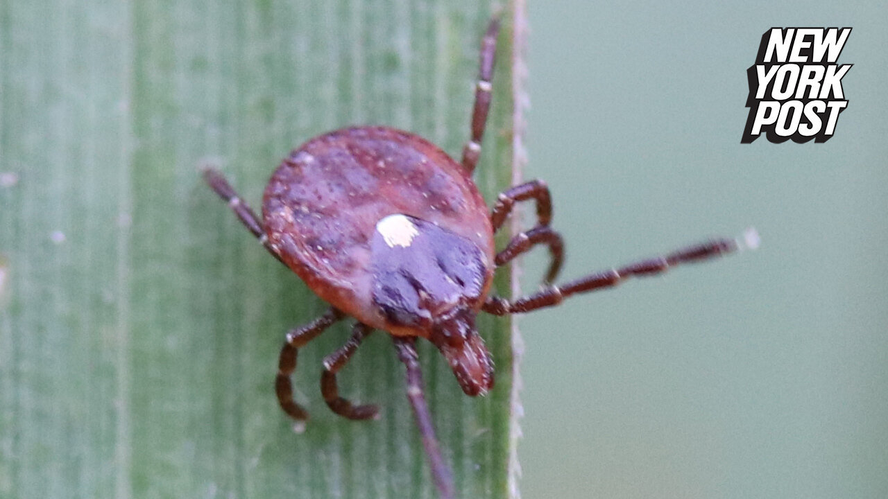 New reason to fear ticks: Extreme food allergy possible from single bite