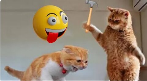 Funniest Animals 2023 😂 | Funniest Cats and Dogs | Part 20