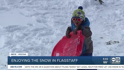 Enjoying the snow in Flagstaff