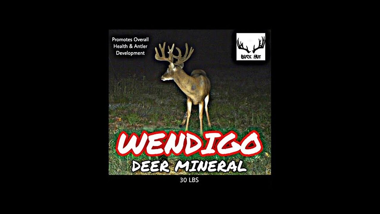 EP. 14 WENDIGO DEER MINERAL