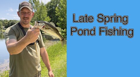 Late Spring Pond Fishing