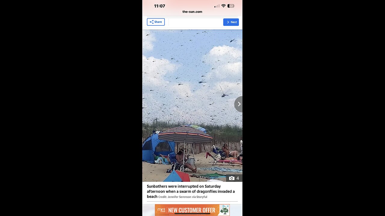 Dragonfly Apocalypse, Rhode island beach