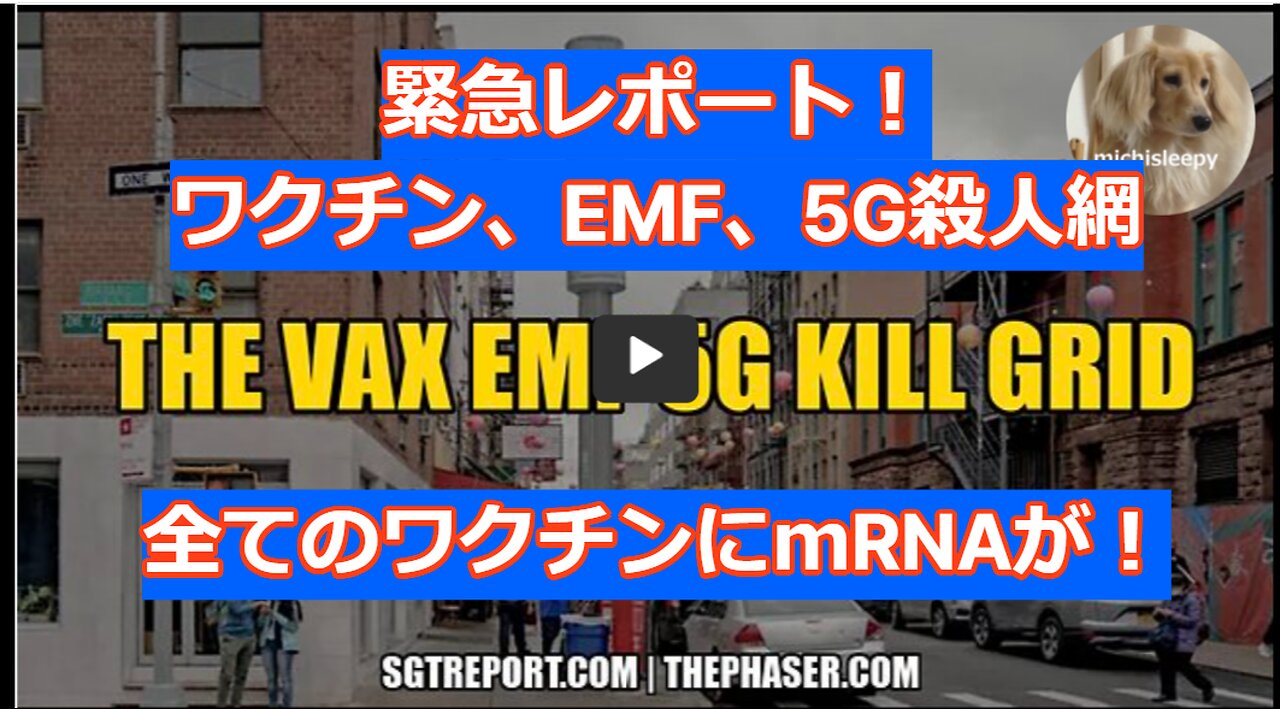 【緊急レポート】ワクチン、EMF（電磁場）、５G殺人網