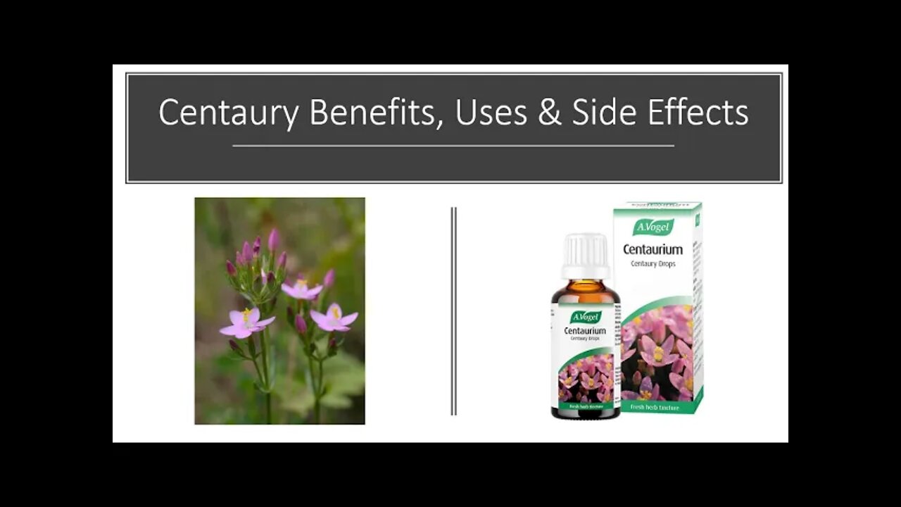 Centaury - Benefits, Uses & Side Effects