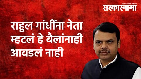 राहुल गांधींना नेता म्हटलं हे बैलांनाही आवडलं नाही | Devendra Fadnavis |Nagpur | Politics|Sarkarnama