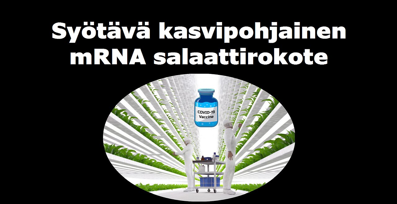 Syötävä kasvipohjainen mRNA salaattirokote