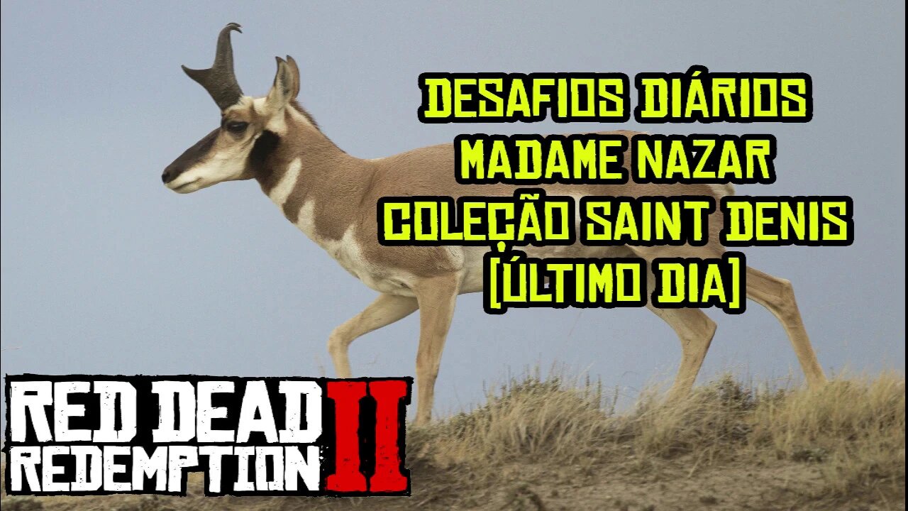 RED DEAD ONLINE MADAME NAZAR, DESAFIO SEMANAL E DIÁRIO