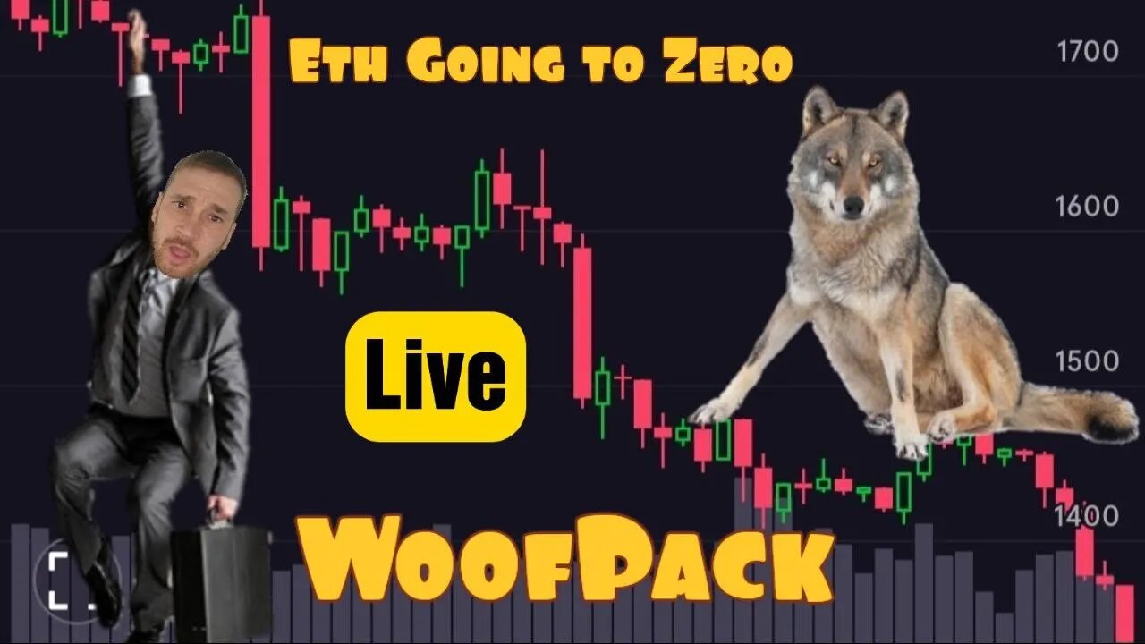 Woof Pack Very Sixth live-Stream!