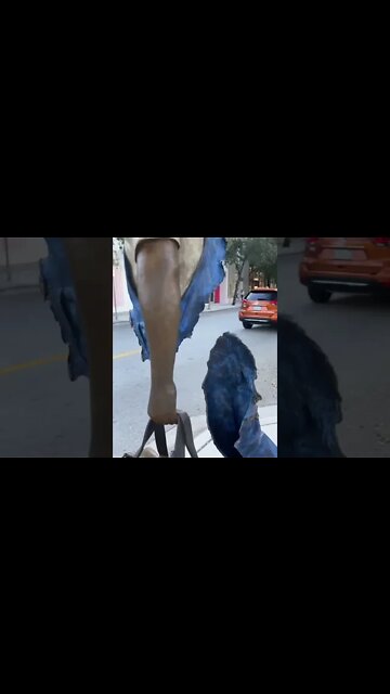 Amazing Art #art #shorts