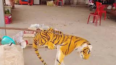 Very funny pranks videos + Dog fake tiger frank dogs!!!
