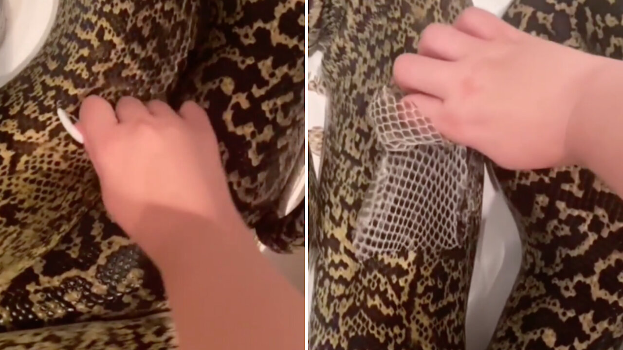 Girl removes old skin from the snake