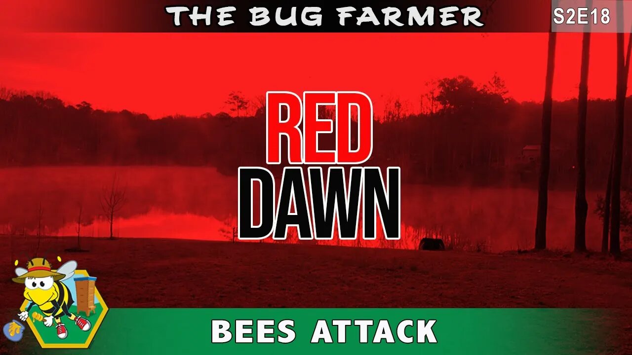 RED DAWN - Bees Attack. Following a string of bad decisions the RED hive delivers a warning.