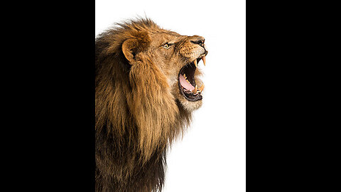 Dismantling the Babylon beast system. Movie trailer.