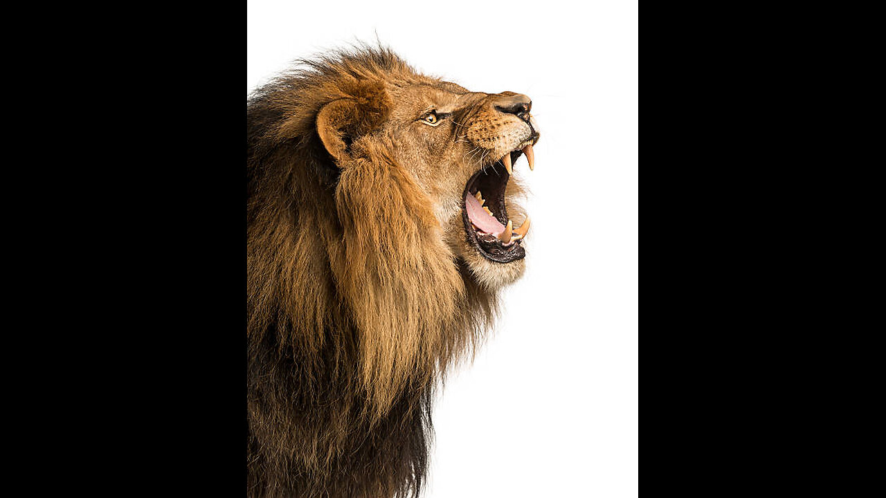 Dismantling the Babylon beast system. Movie trailer.