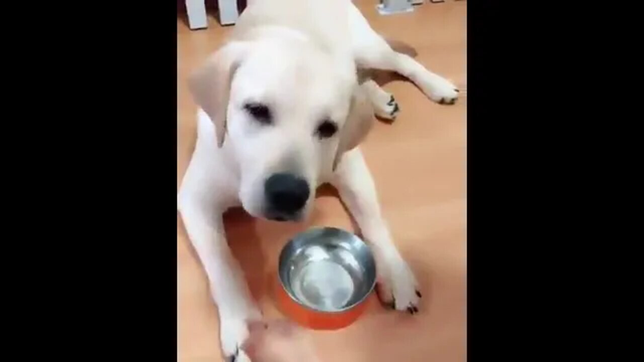 Mercy