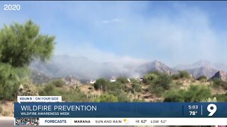 Wildfire Awareness Week: what to know going into wildfire season