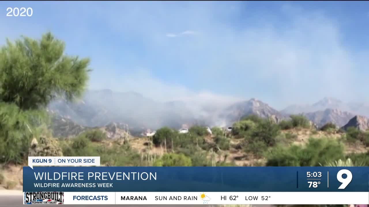 Wildfire Awareness Week: what to know going into wildfire season