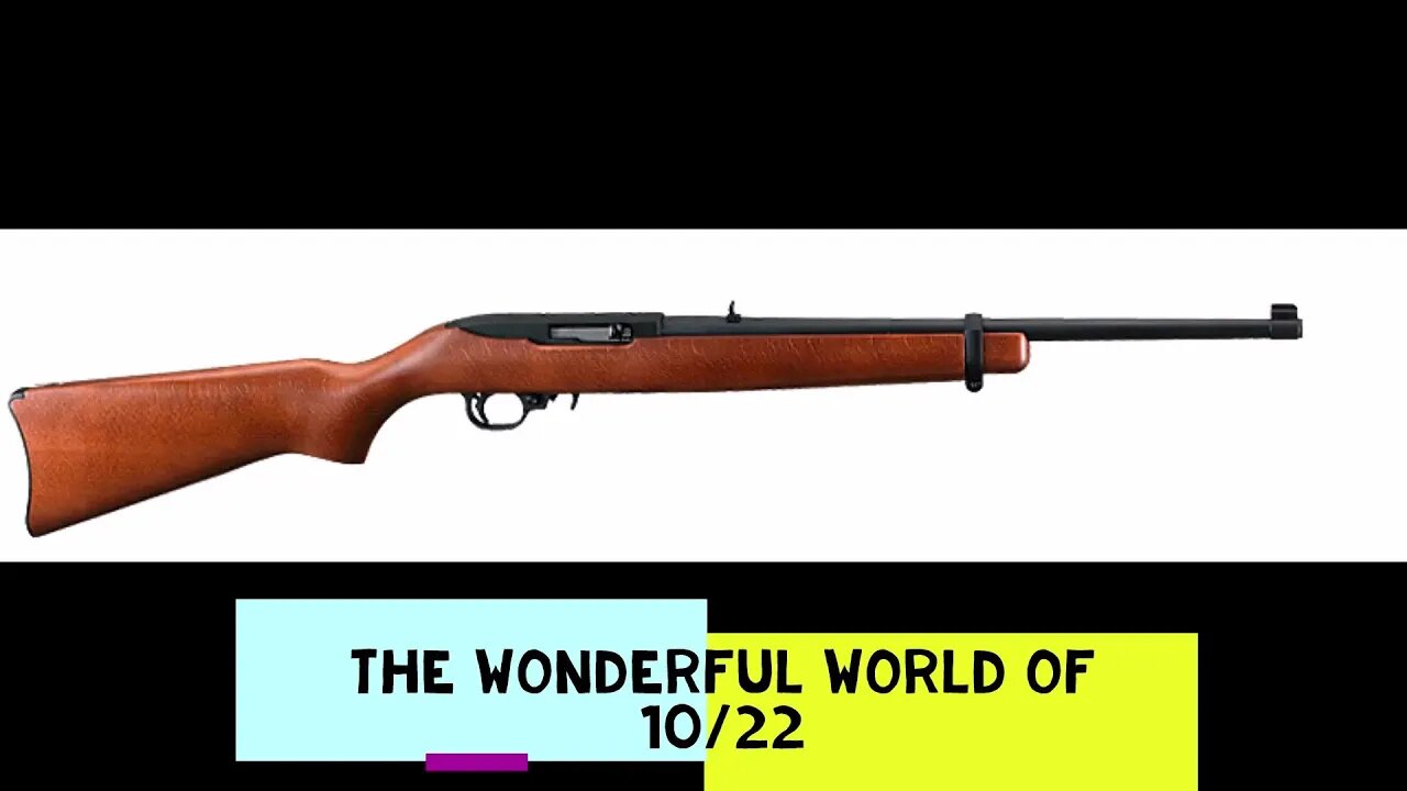 Ruger 10/22 The do anything Rifle!