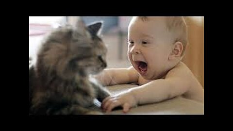 Funny videos for kids