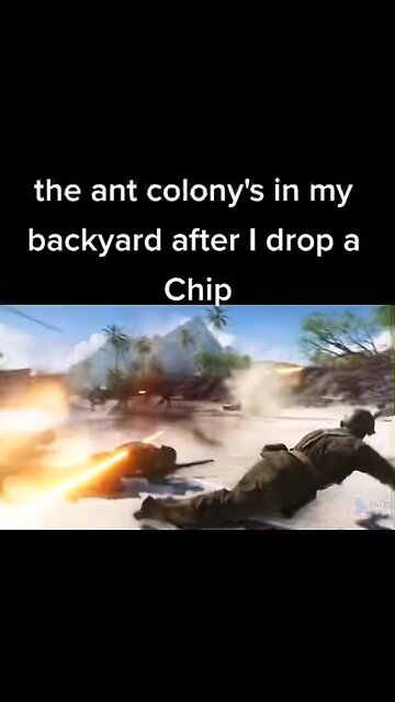 The ants in my backyard when i drop food