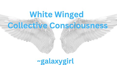 White Winged Collective Consciousness ~ galaxygirl 8/6/2023