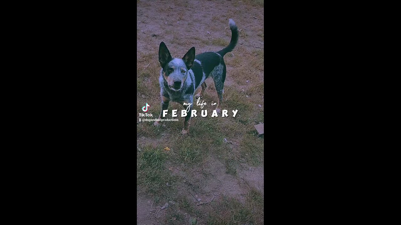 February