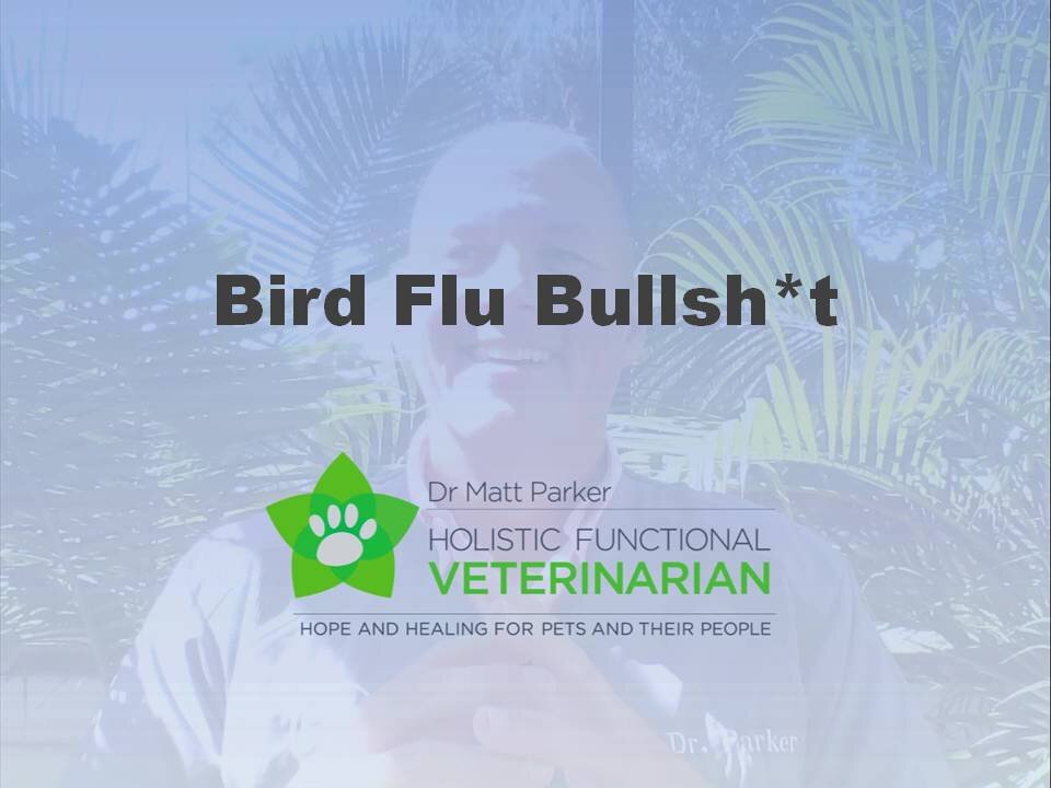 Bird Flu Bullsh*t