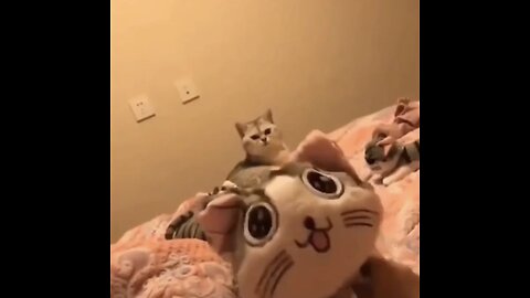 Funny Adorable Cat Gets Pranked By Toy Kitten