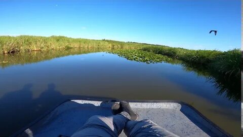 RAW footage on the airboat... so much fun!!!