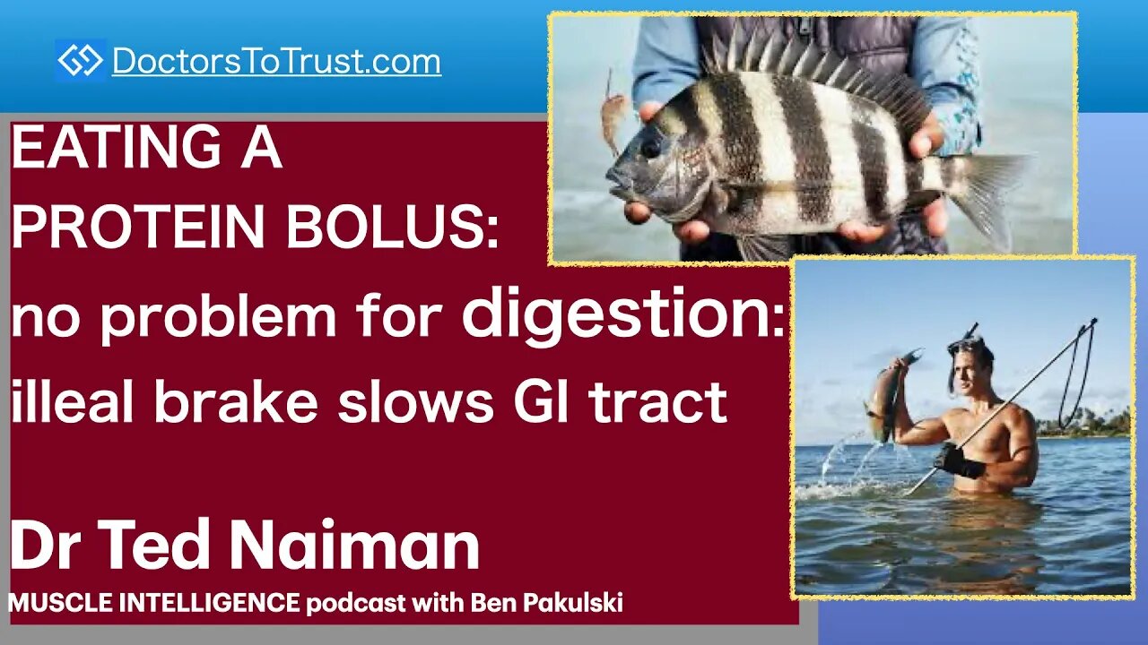 DR TED NAIMAN 6 | EATING A PROTEIN BOLUS: no problem for digestion: illeal brake slows GI tract