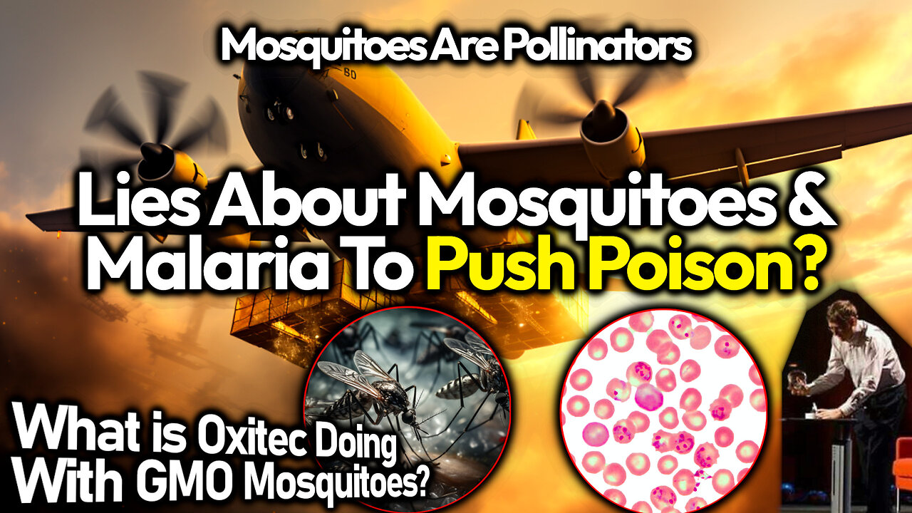 Gates & The GMO Mosquitoes; Malaria Narratives Pose Threat Of Mass Poisoning And Famine