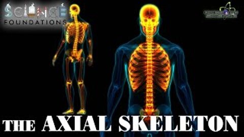 Bones that Make up the Axial Skeleton | Science Foundations