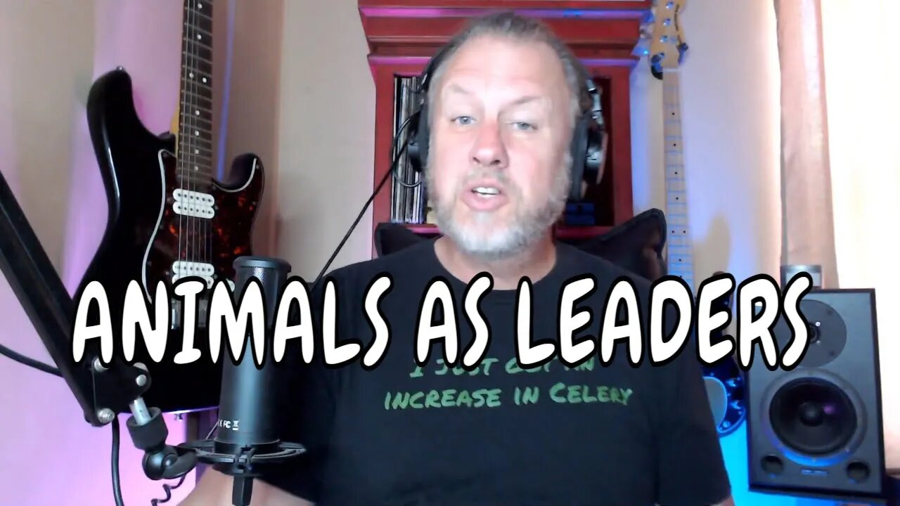 ANIMALS AS LEADERS - Red Miso - First Listen/Reaction