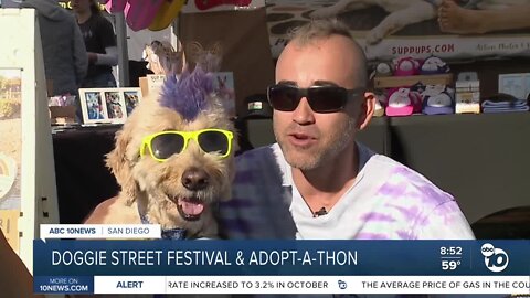 Doggie Street Festival and Adopt-a-thon underway in Liberty Station