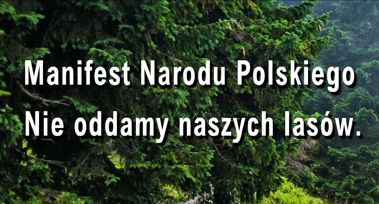 Manifest Narodu Polskiego - Nie oddamy naszych lasów.