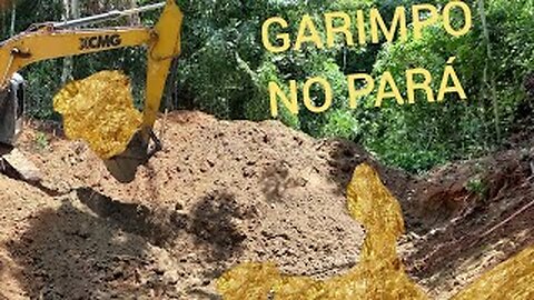 TV_NORDESTE NEWS = GARIMPO