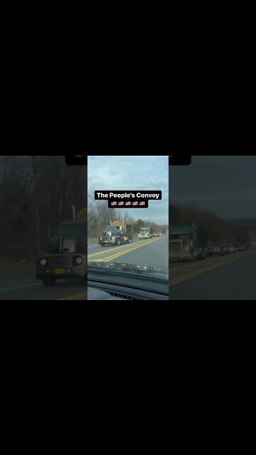 Honk! Honk! 🚚 🚛