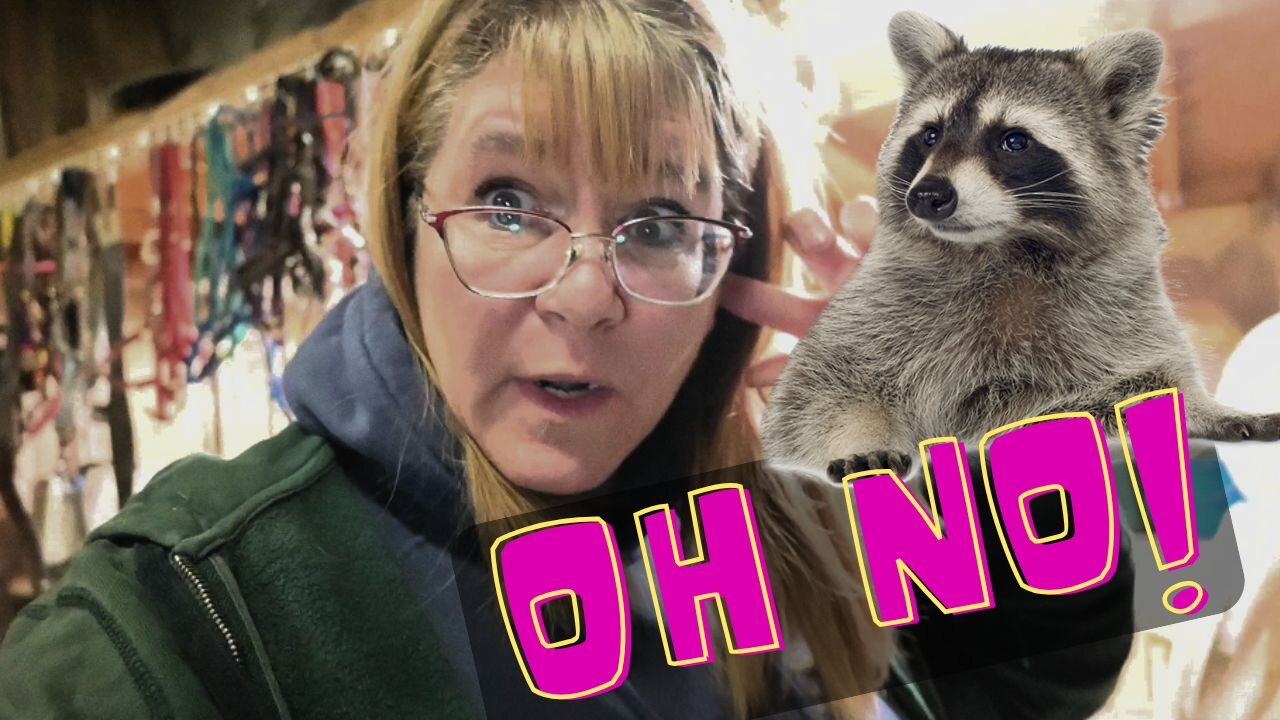 Rickie Racoon Strikes Again!