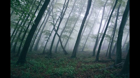 Relaxation Station - 9 Hours of Nature and Spa Music - Black Background